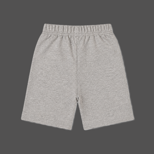 Fyst Boys Grey Melange Skateboarding Dinosaur "Super Cool Dude" Cotton Shorts