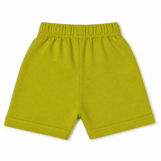 Fyst Boys Lime Green Skateboarding Dinosaur "Super Cool Dude" Cotton Shorts