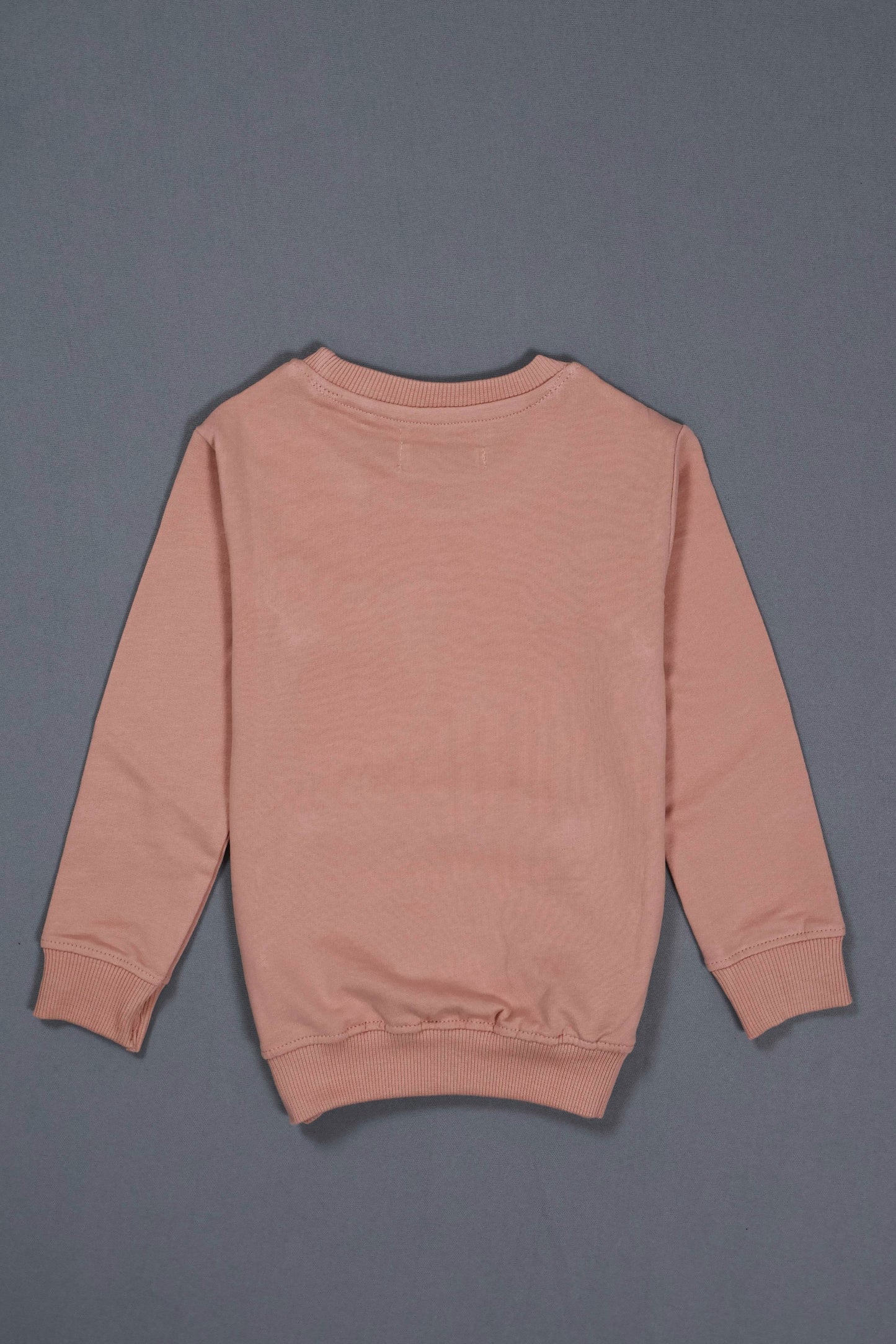 Pink sweatshirt on a gray background