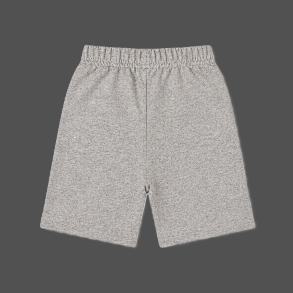 Fyst Boys Grey Melange Skateboarding Dinosaur "Super Cool Dude" Cotton Shorts