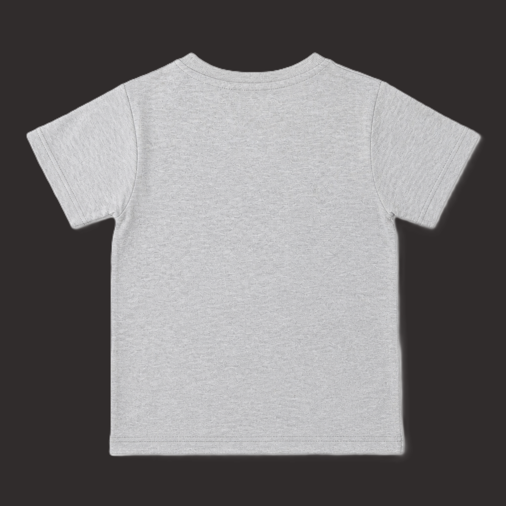 Fyst Boys Light Grey Skateboarding Dinosaur "Super Cool Dude" Graphic Cotton T-Shirt
